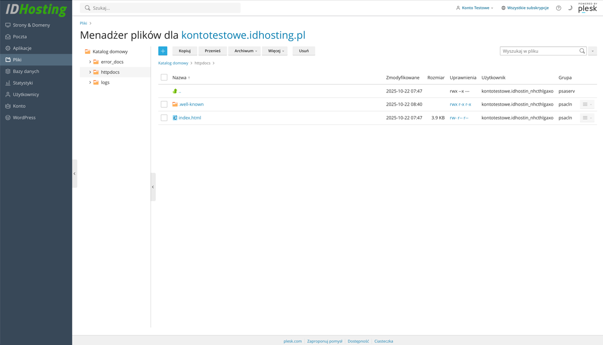 Plesk - menadżer plików